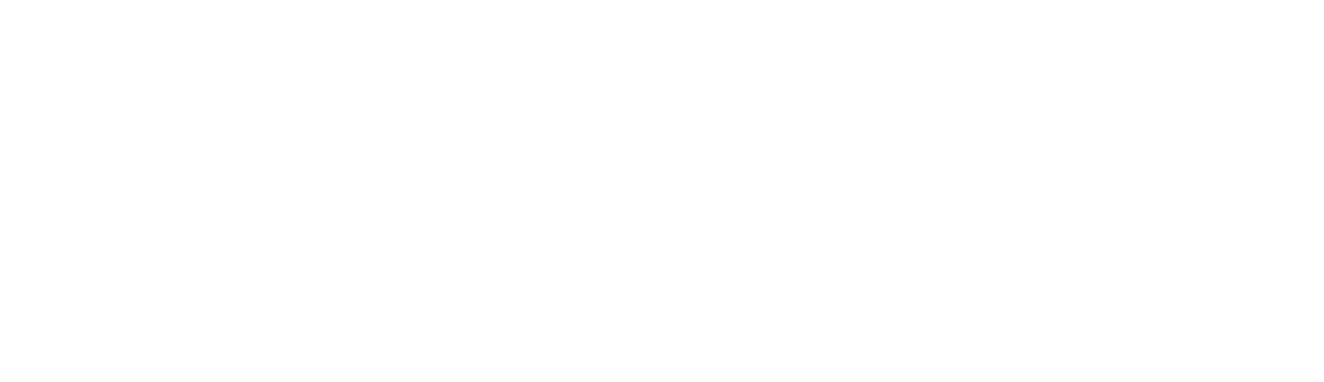 The Trans International Logo White